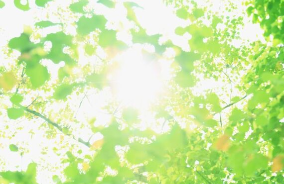 秋は気候も安定し、お肌の状態も安定し、快適に船橋で脱毛を始めませんか！